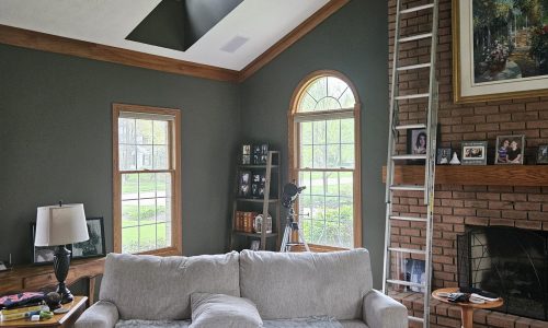 Interior House Painting