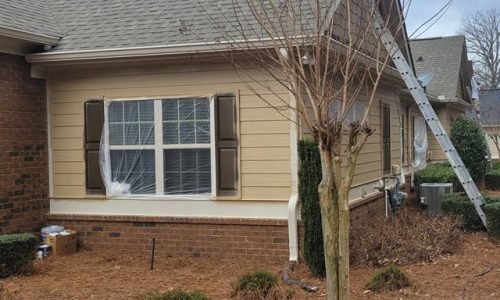 Repainting Exterior - Back