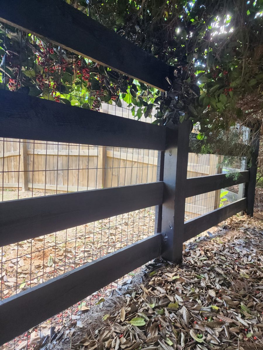 finished fence staining Preview Image 1