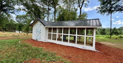 Chicken Coop Painting in Easley, SC