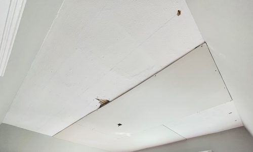 Ceiling Repair - During