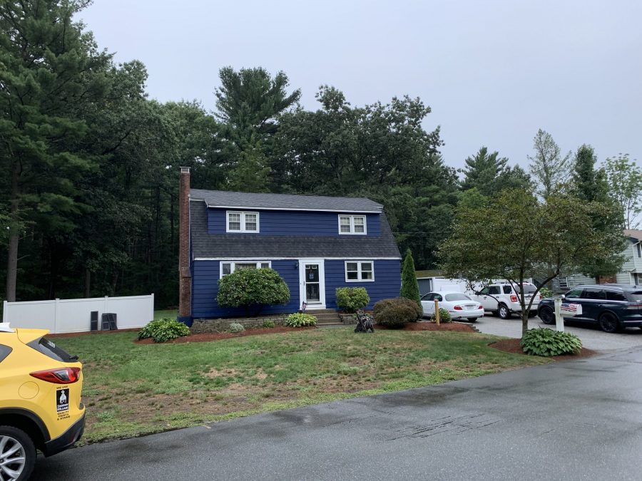 painting in progress Preview Image 3