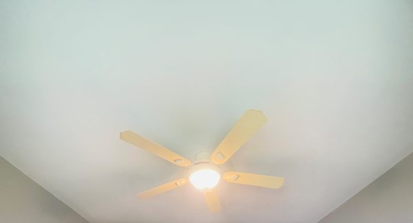 Ceiling Repair After