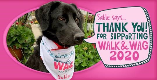 Thank You from Walk and Wag 2020