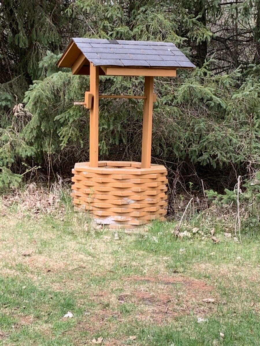 Old Backyard Well Preview Image 3