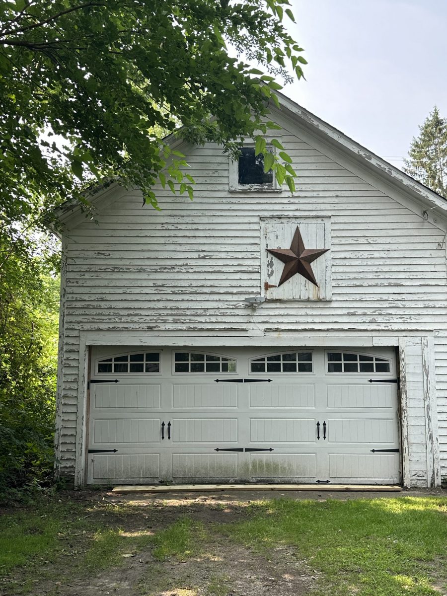 detached garage with damaged exterior paint Preview Image 1