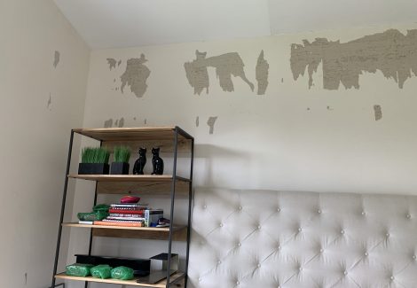 Torn Wallpaper Above Shelf