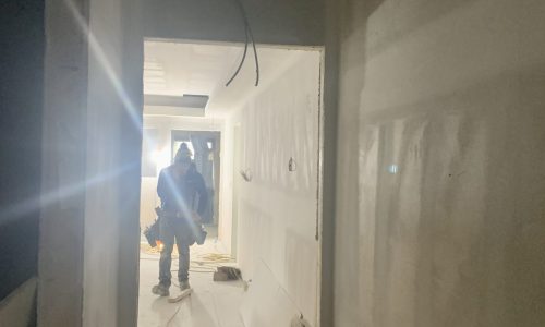 Professional Painting