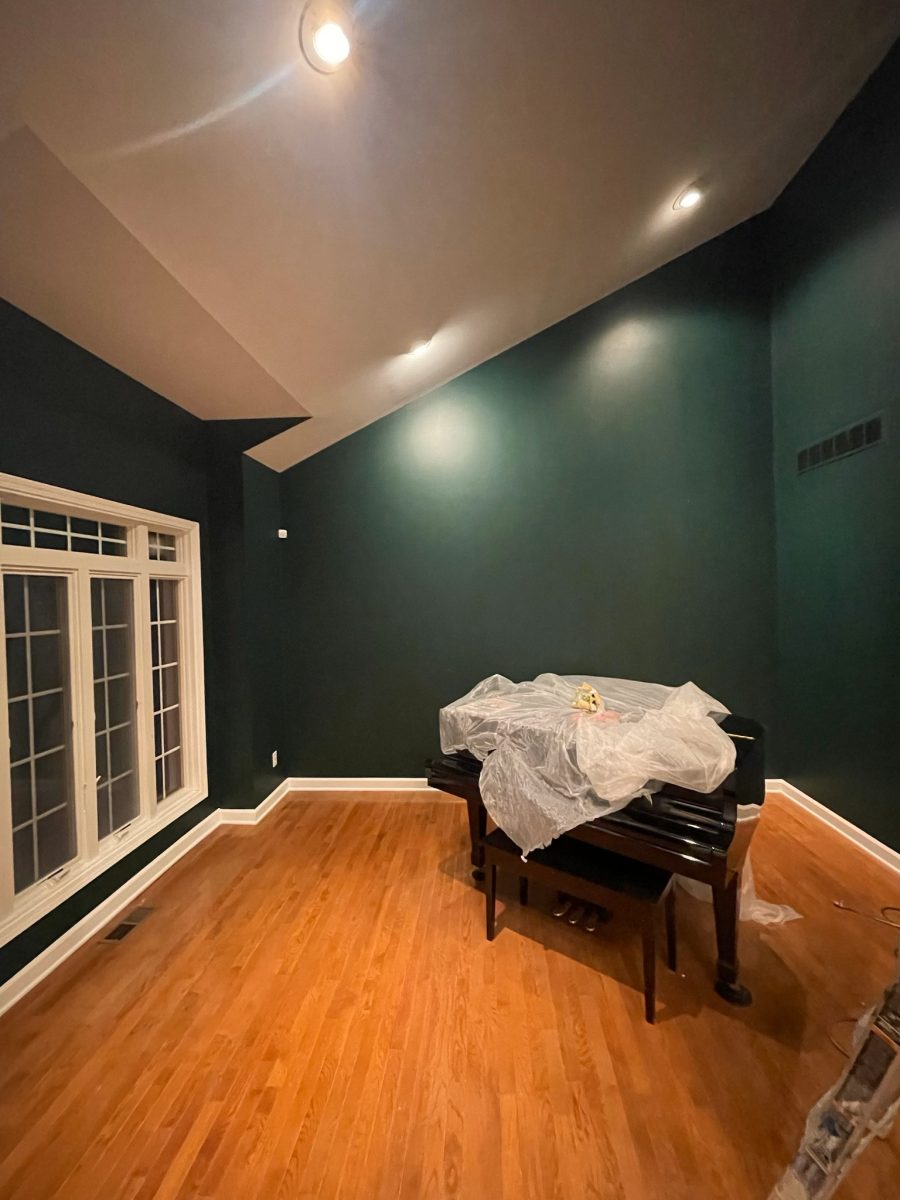 Residential Move-In repaint - after Preview Image 11