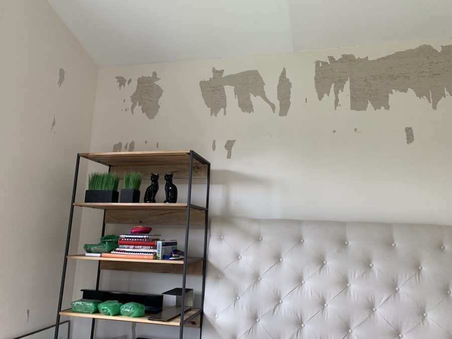 Torn Wallpaper Above Shelf Preview Image 3