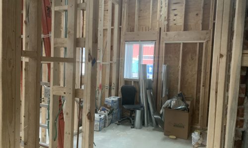 Dermatologist Practice