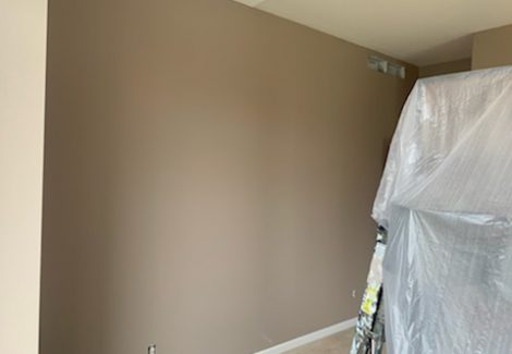 Freshly Painted Wall