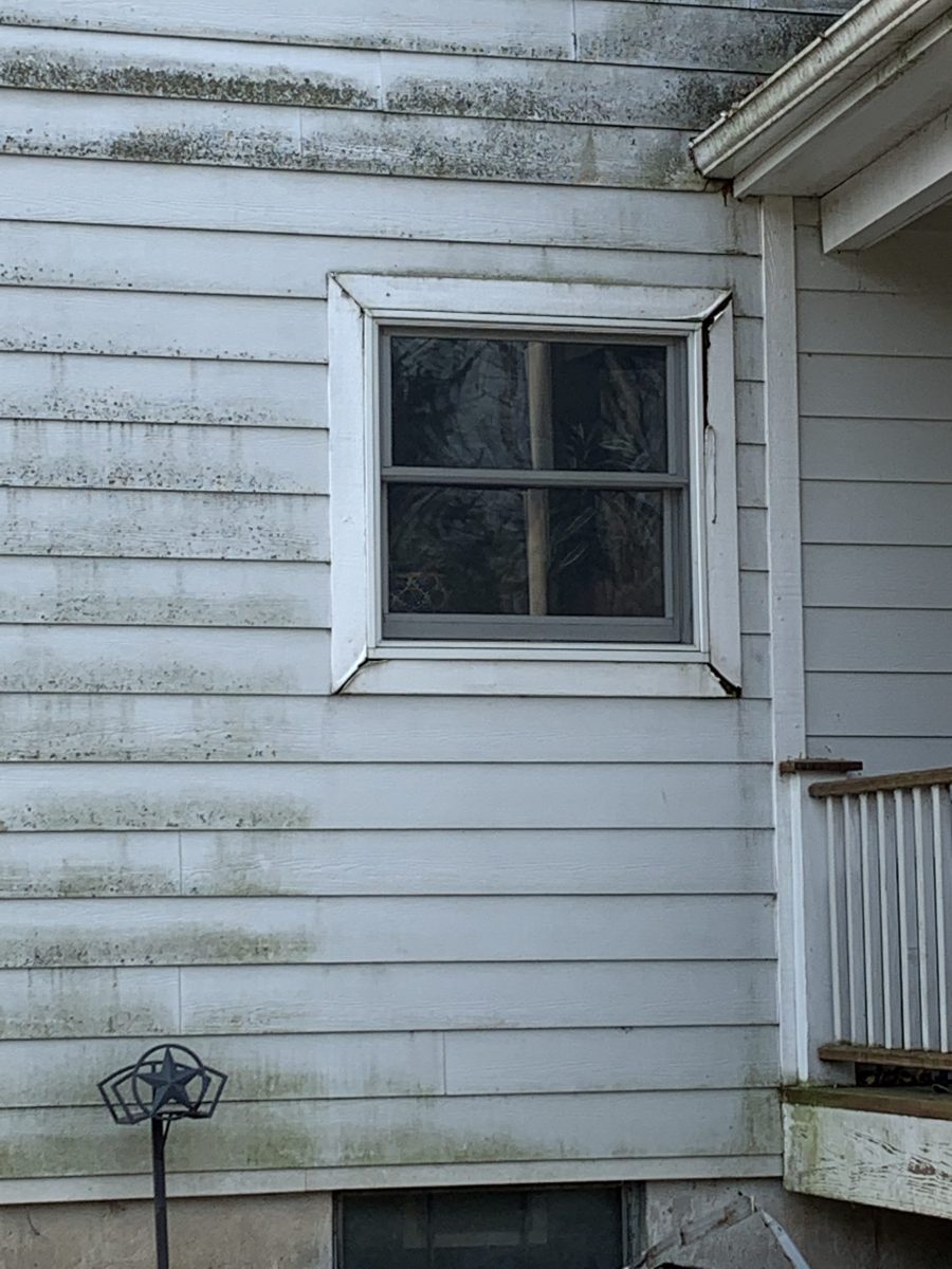 Brown and Blackened House Side Preview Image 2