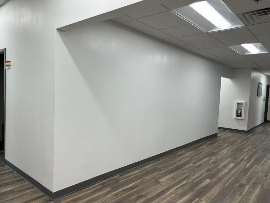 Wallpaper Removal near Centreville Preview Image 3