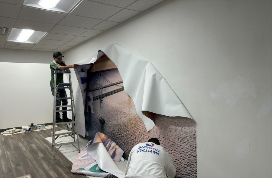 Professional Painters near Centreville Preview Image 2