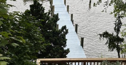 Arden on the Severn Dock Painting