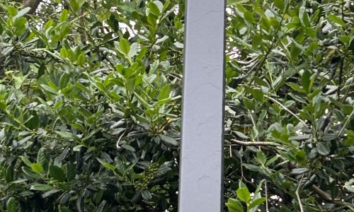 Light Post in Annapolis, MD