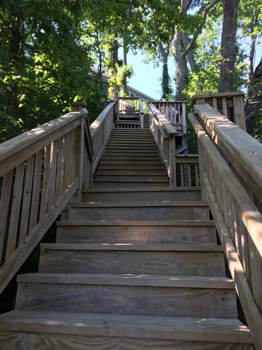 Stairs with new clear coat applied Preview Image 1