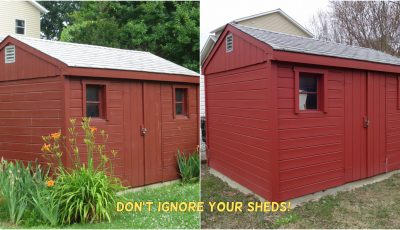 Shed Exterior Painting