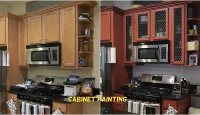 Modern Cabinet Revamp