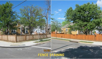 Outdoor Residential Fence