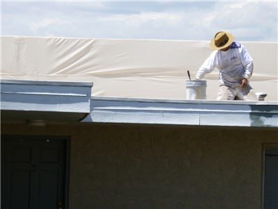 Botnick Roof Painting