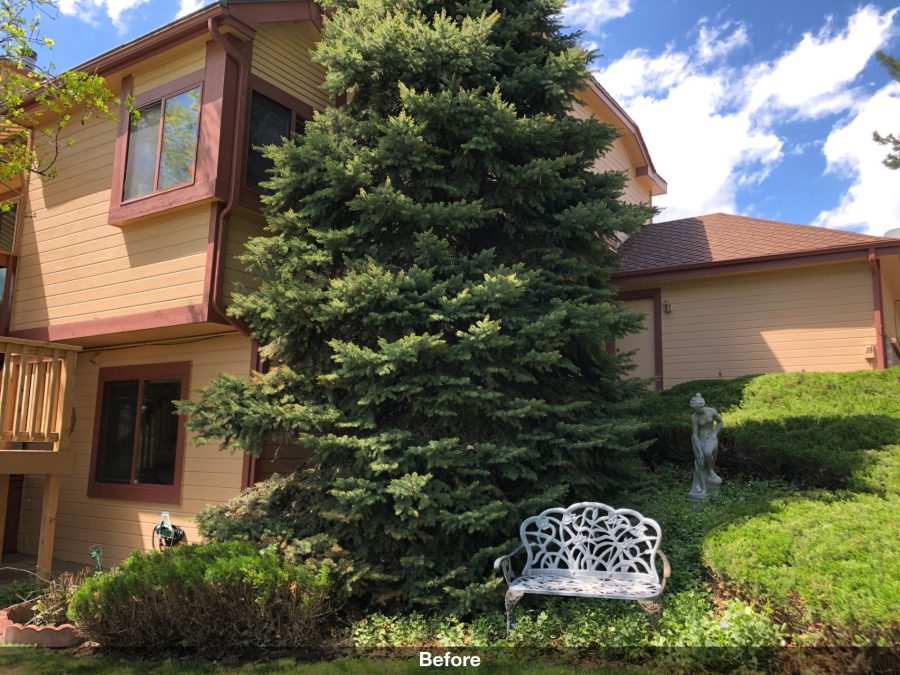 Home siding repaint Preview Image 8