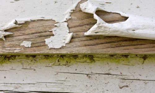 Clapboard repair exterior siding