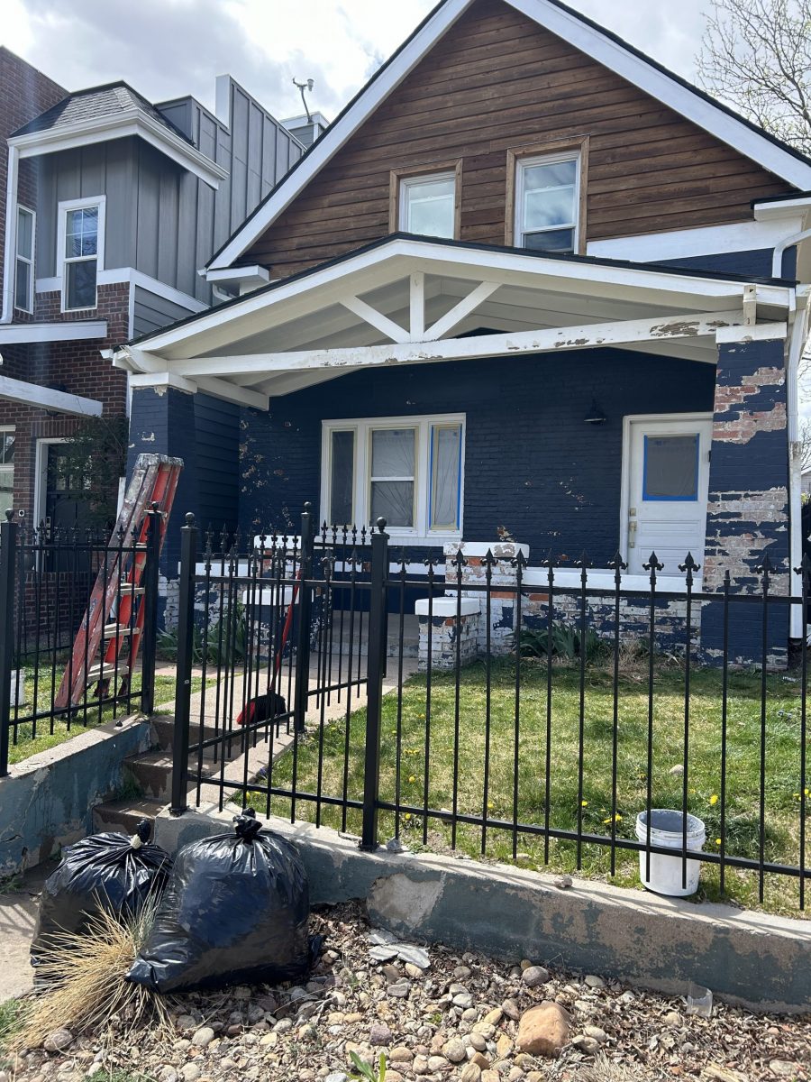 lead paint removal repaint project Preview Image 1