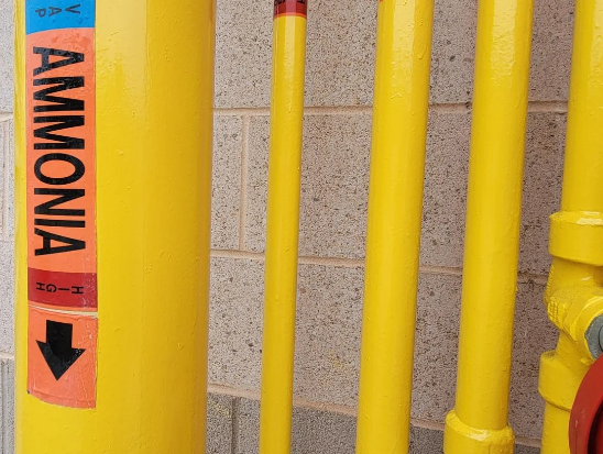 Costco ammonia pipes repainted