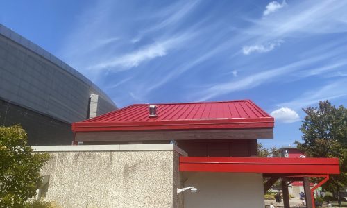 Restored Visual Impact