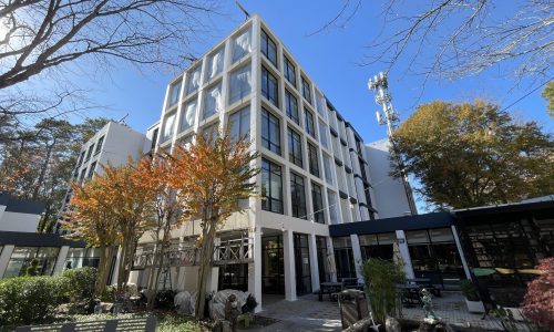 Refreshed Common Areas