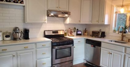 Kitchen Cabinet Painting