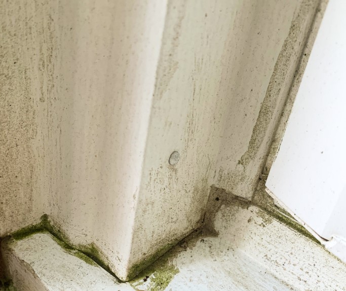 metal capped window frame mildewing