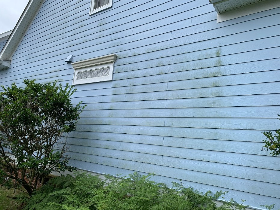 blue exterior before painting