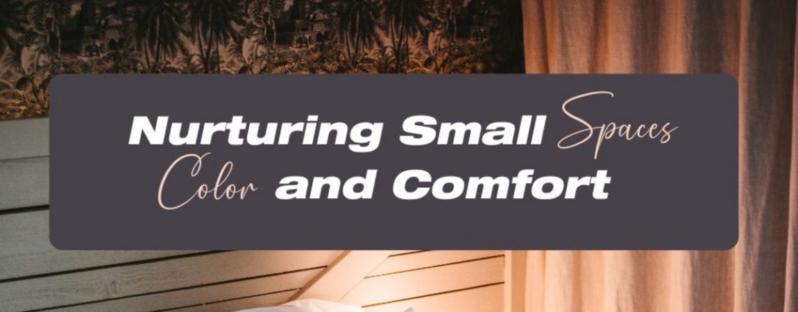 Nurturing Small Spaces with Color and Comfort