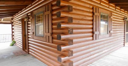 Log Cabin Painting – Project Album