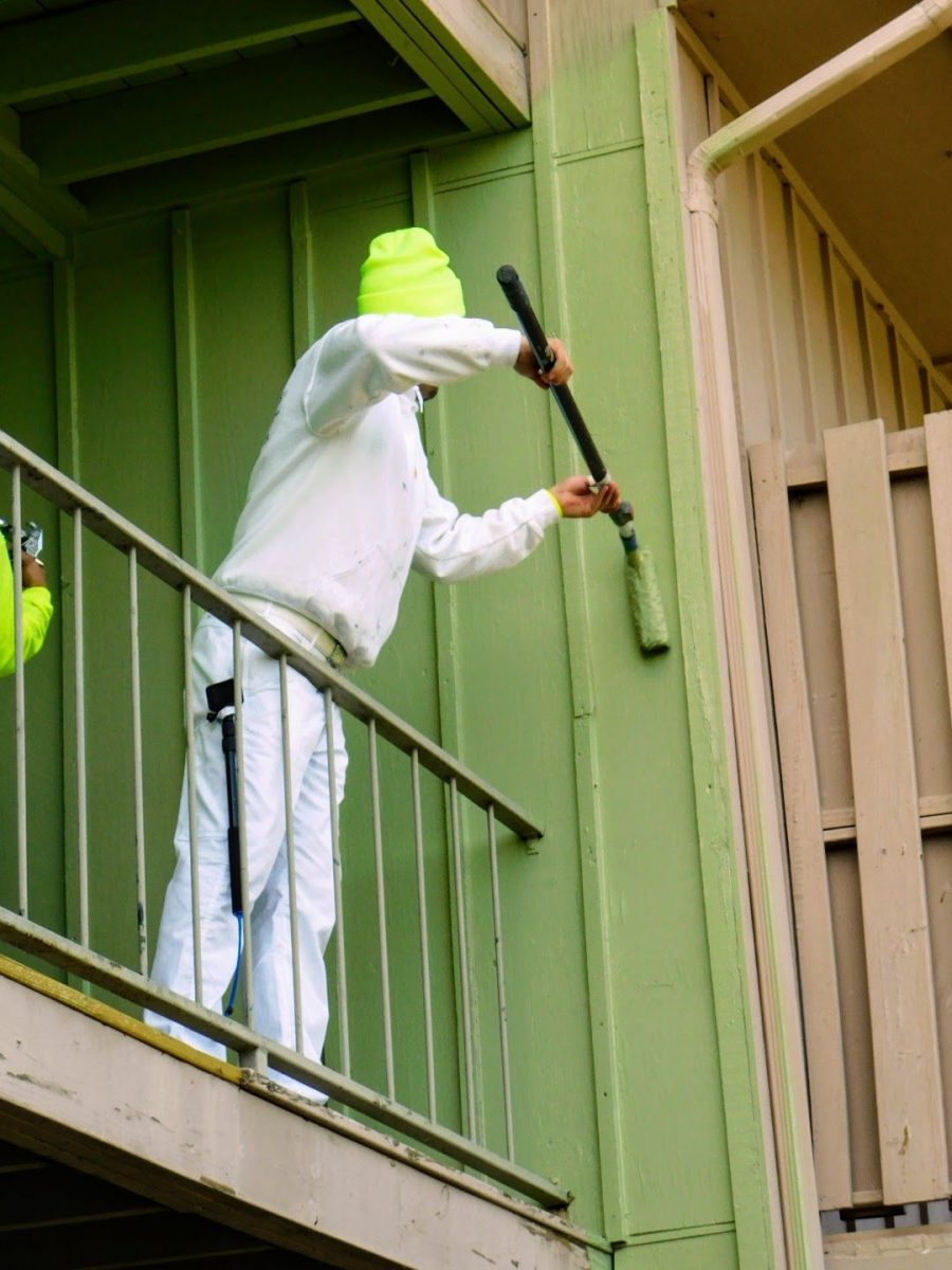 commercial, residential, paint, painting, repaint, home renovation, condo, condominium, apartment, apartments, condos, complex, park, house, interior, exterior, Augusta, Evans, Grovetown, Georgia, CSRA, painter, near me Preview Image 10