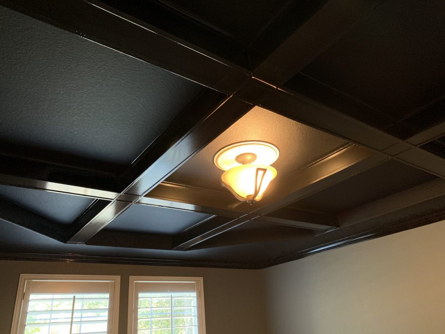 painted ceiling with light fixture Preview Image 18