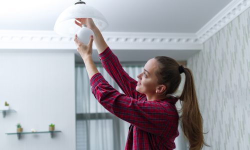 Changing the Light Fixture