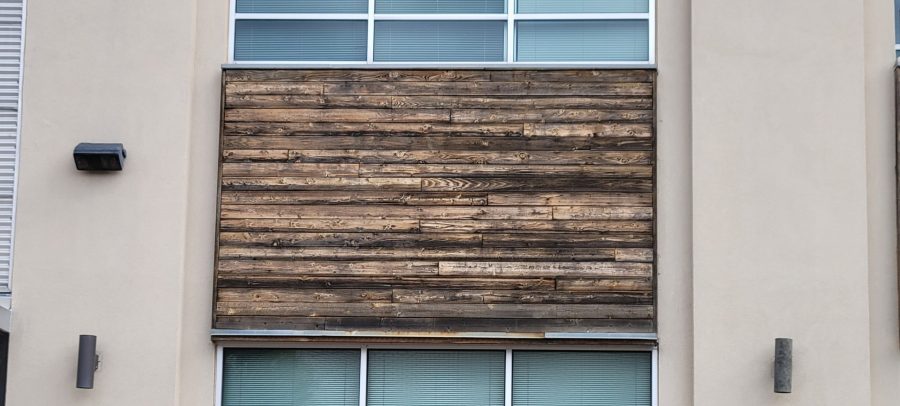 staining Preview Image 3