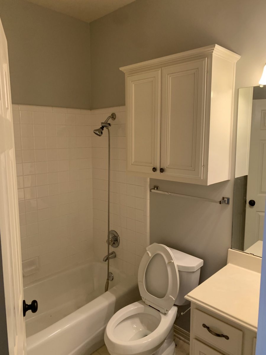 Guest Bathroom Painting Preview Image 6