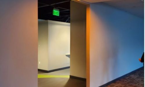 Wall Decor and Studs Removed