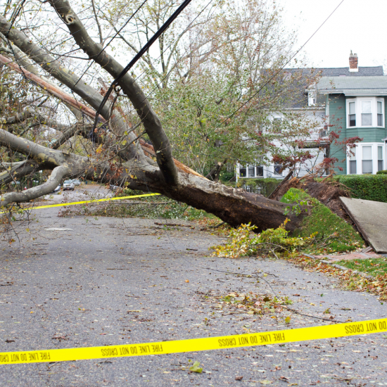 Storm Damage Painting & Repairs