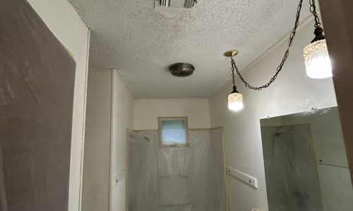 Bathroom Ceiling - Before