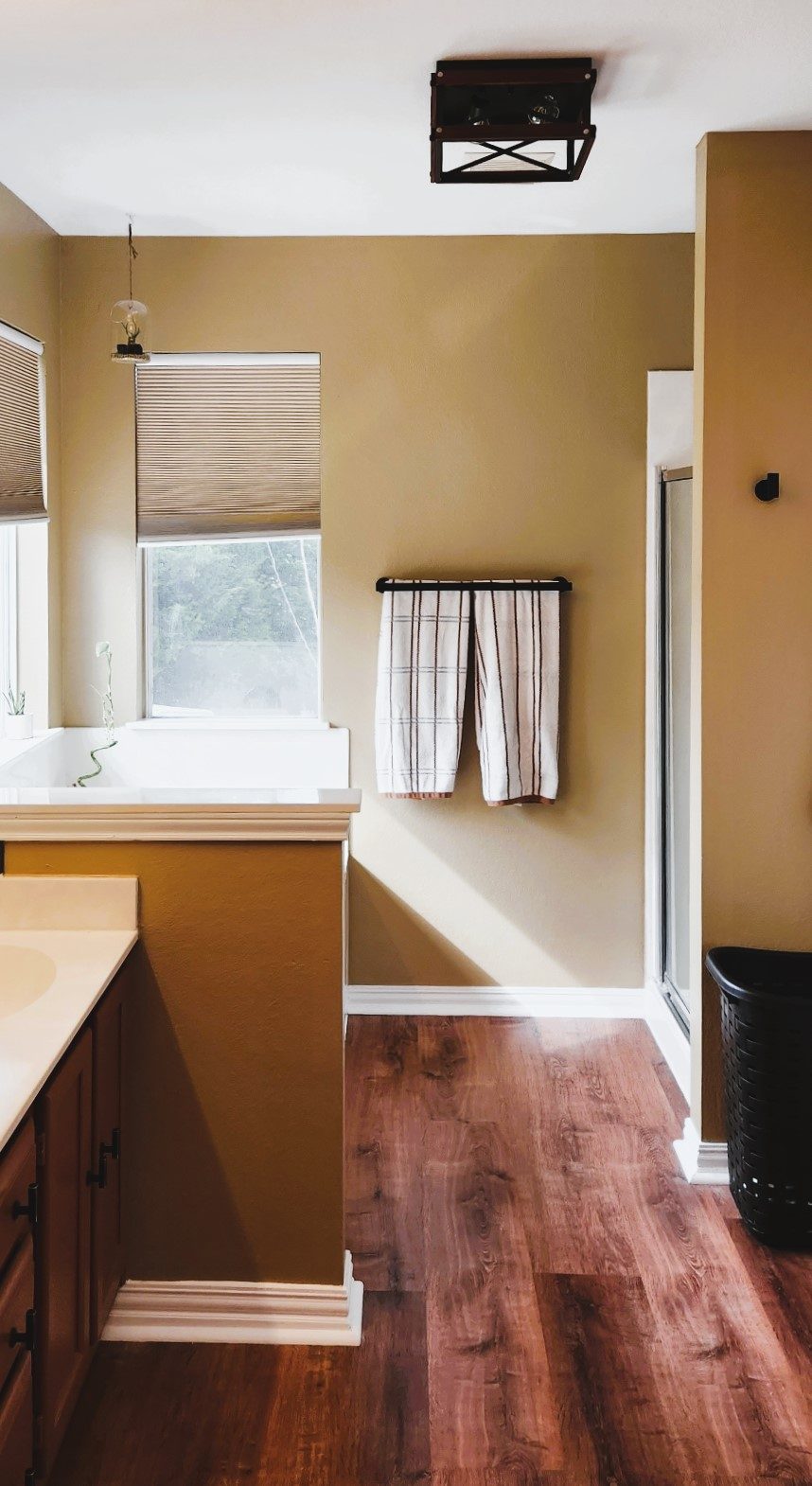 Master Bathroom Preview Image 4