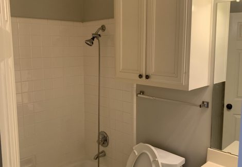 Guest Bathroom Painting
