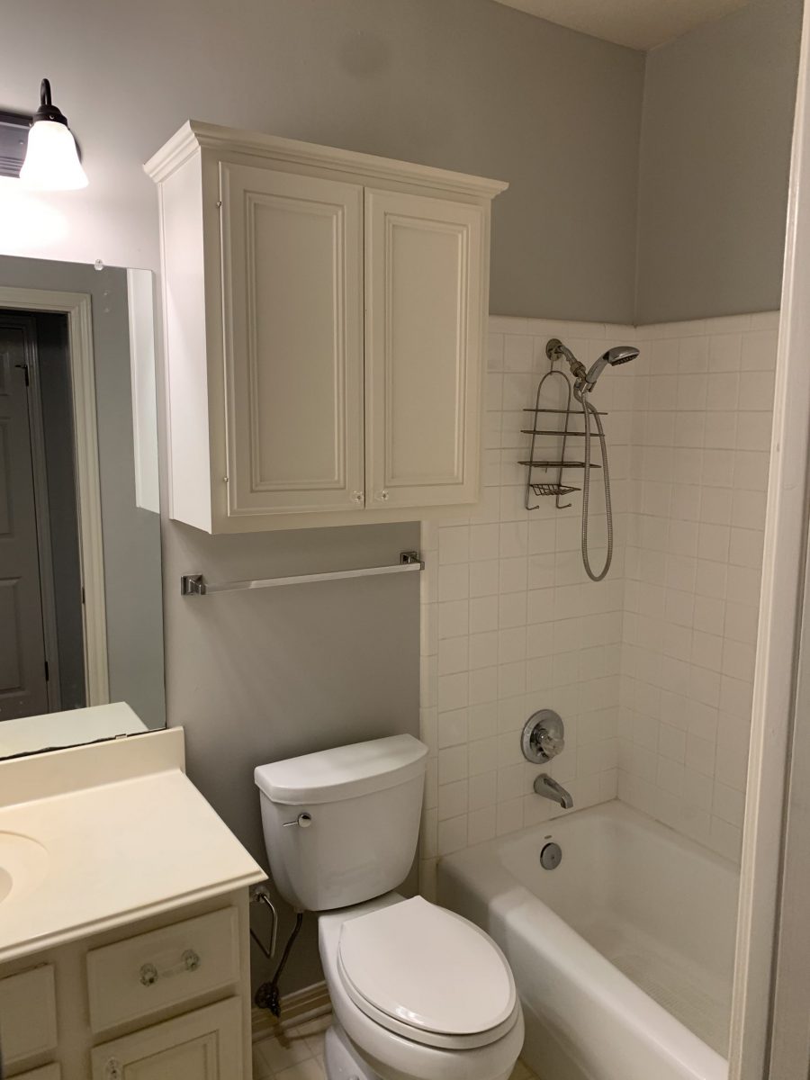 Bathroom Painting Preview Image 25