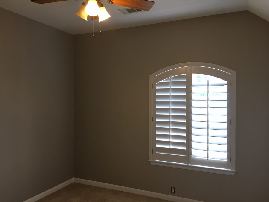 office painted with green walls Preview Image 5