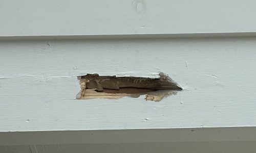 Existing Damage
